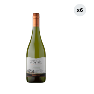 6x Vino Castillo De Molina Sauvignon Blanc 750cc
