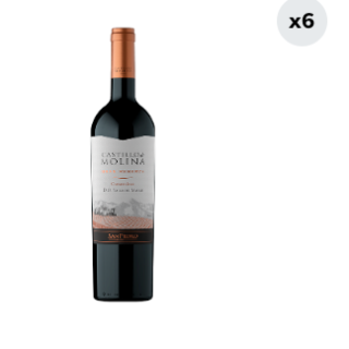 6x Vino Castillo De Molina Carmenere 750cc