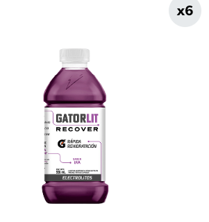 6x Bebida Suero Gatorlit Uva 591cc